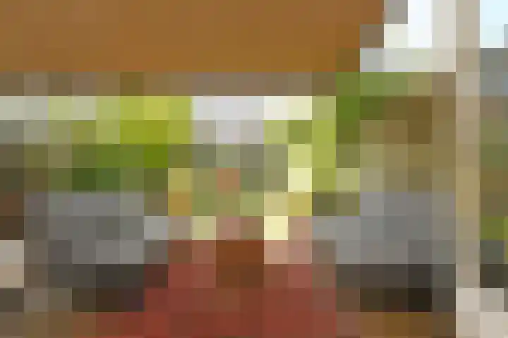 Laan van Eik en Duinen 184 Den Haag thumbnail 14