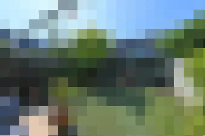 Laan van Eik en Duinen 184 Den Haag thumbnail 15
