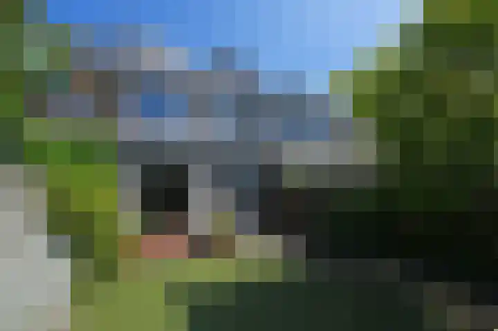 Laan van Eik en Duinen 184 Den Haag thumbnail 17