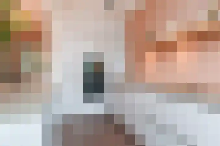 Laan van Eik en Duinen 184 Den Haag thumbnail 24