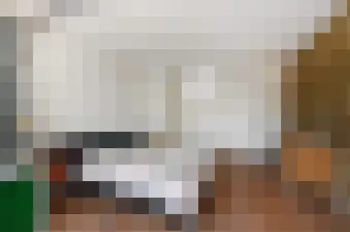 Laan van Eik en Duinen 184 Den Haag thumbnail 33