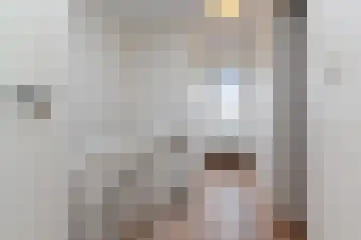 Laan van Eik en Duinen 184 Den Haag thumbnail 36
