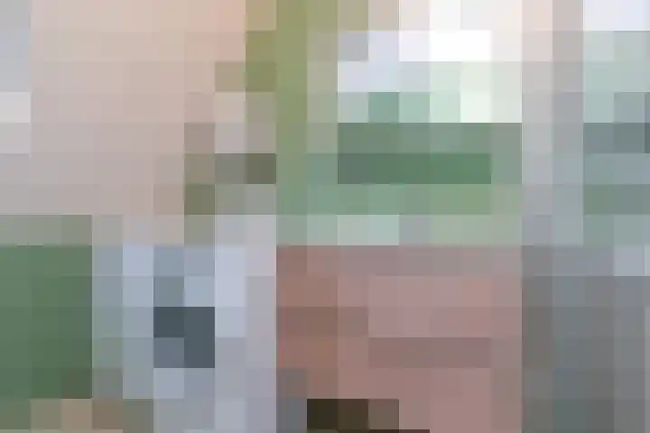 Laan van Eik en Duinen 184 Den Haag thumbnail 47