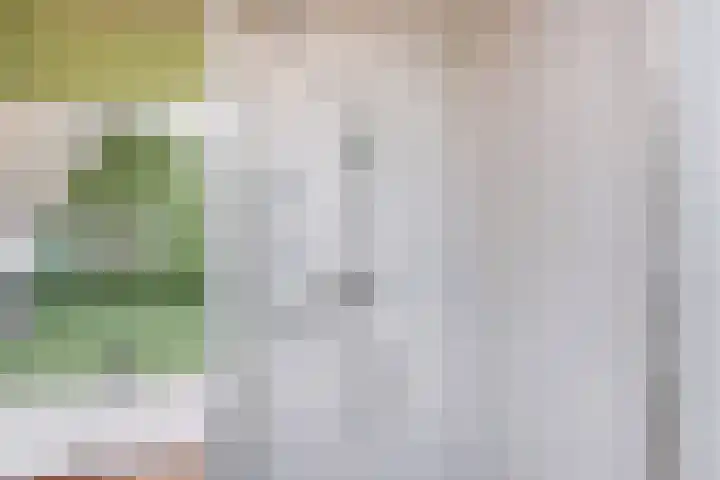 Laan van Eik en Duinen 184 Den Haag thumbnail 48
