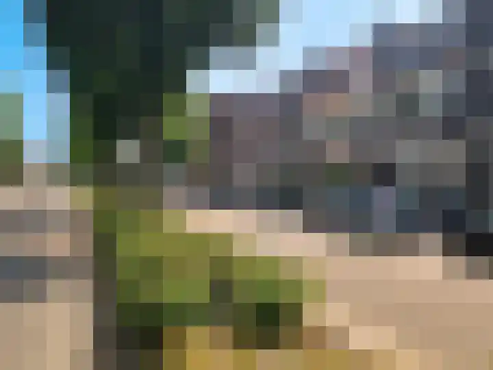 Laan van Eik en Duinen 184 Den Haag thumbnail 50