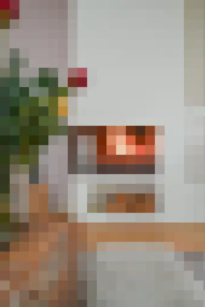 Laan van Eik en Duinen 184 Den Haag thumbnail 6