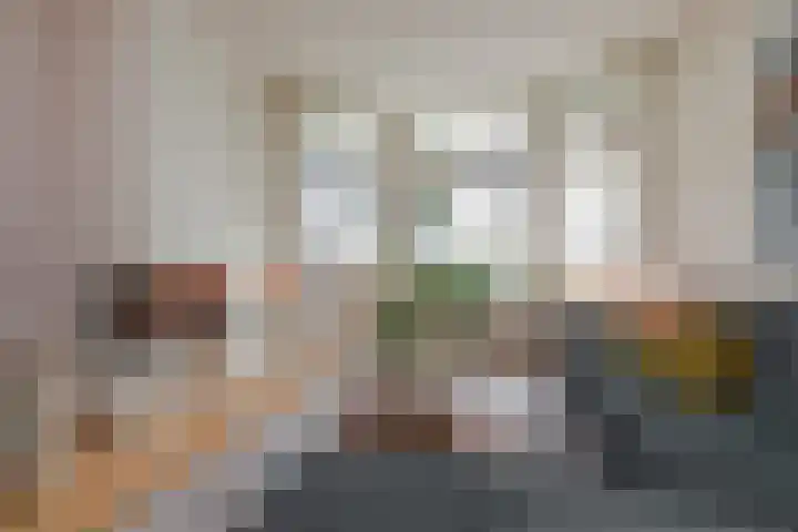 Laan van Eik en Duinen 184 Den Haag thumbnail 7