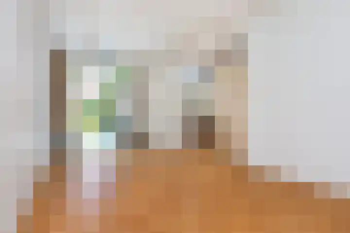 Laan van Eik en Duinen 191 Den Haag thumbnail 11