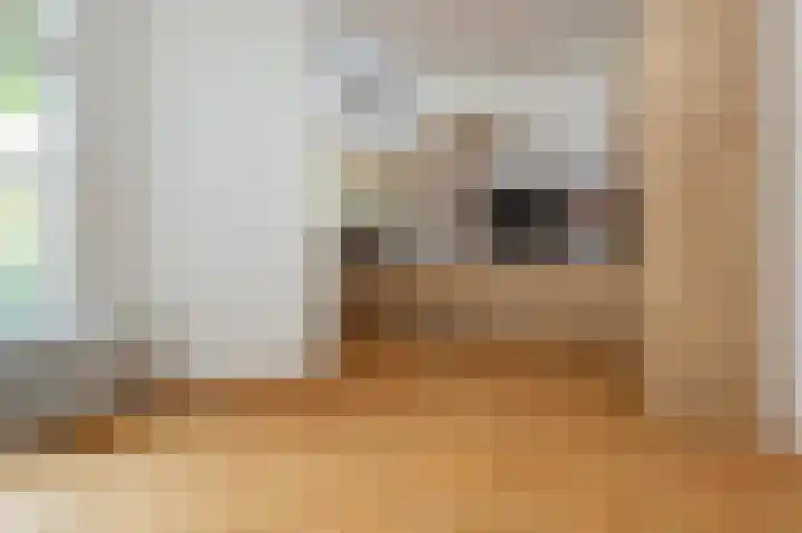 Laan van Eik en Duinen 191 Den Haag thumbnail 12
