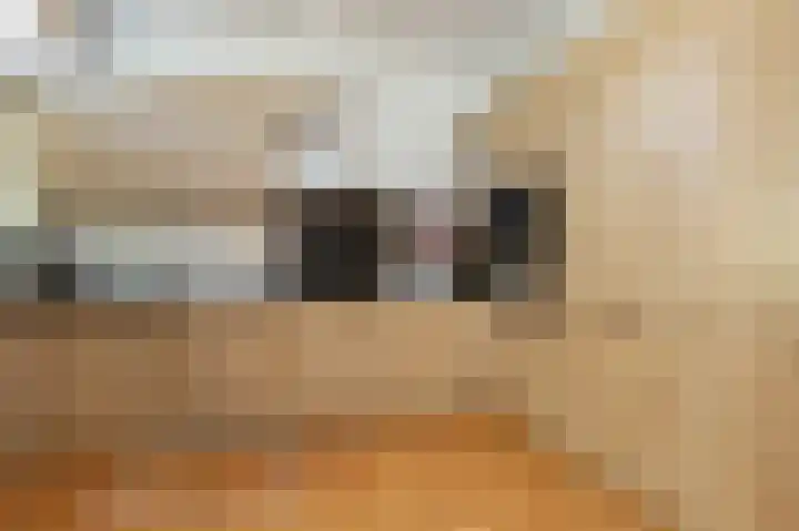 Laan van Eik en Duinen 191 Den Haag thumbnail 13