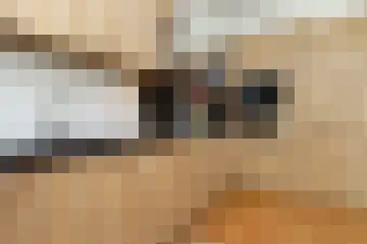 Laan van Eik en Duinen 191 Den Haag thumbnail 14
