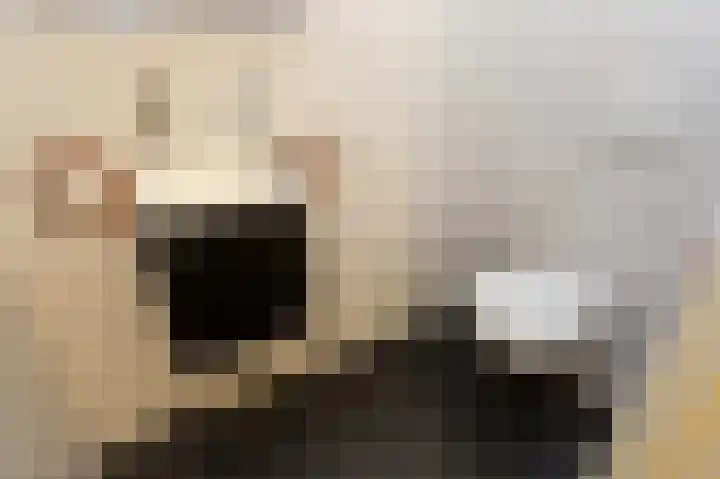Laan van Eik en Duinen 191 Den Haag thumbnail 17