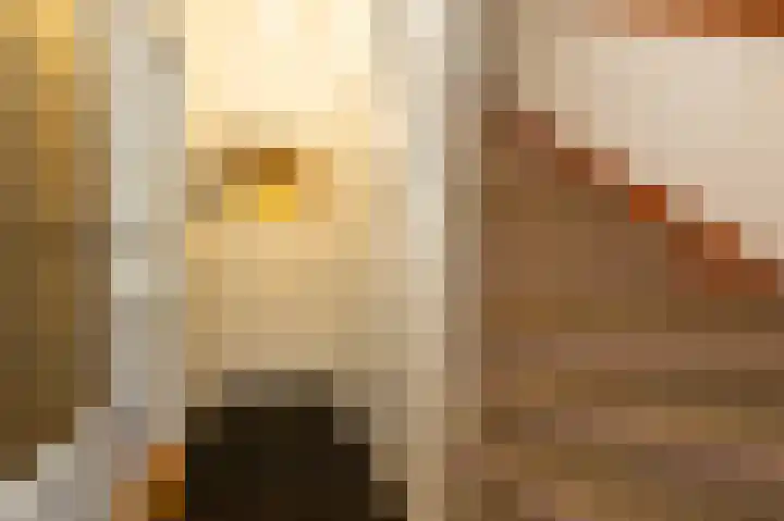 Laan van Eik en Duinen 191 Den Haag thumbnail 18