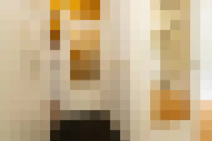 Laan van Eik en Duinen 191 Den Haag thumbnail 19