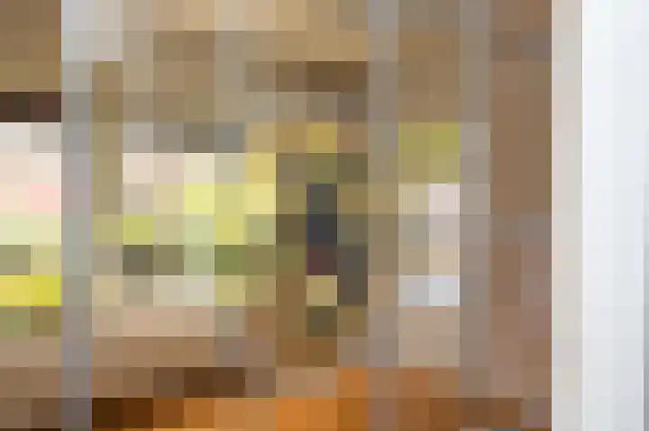 Laan van Eik en Duinen 191 Den Haag thumbnail 20