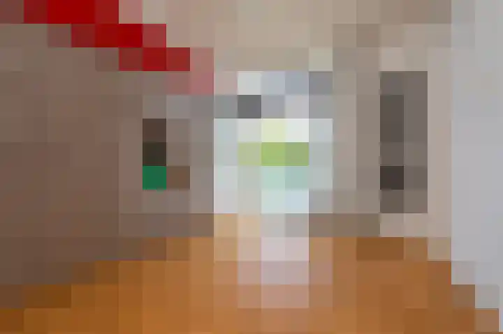 Laan van Eik en Duinen 191 Den Haag thumbnail 24