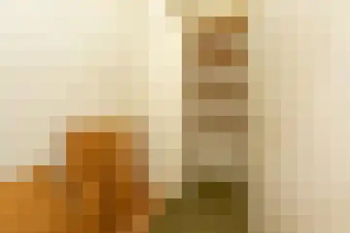 Laan van Eik en Duinen 191 Den Haag thumbnail 34