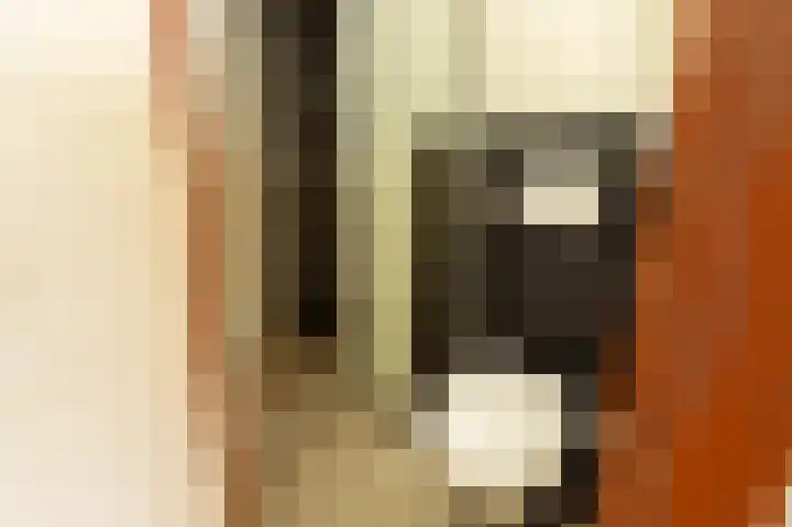 Laan van Eik en Duinen 191 Den Haag thumbnail 35
