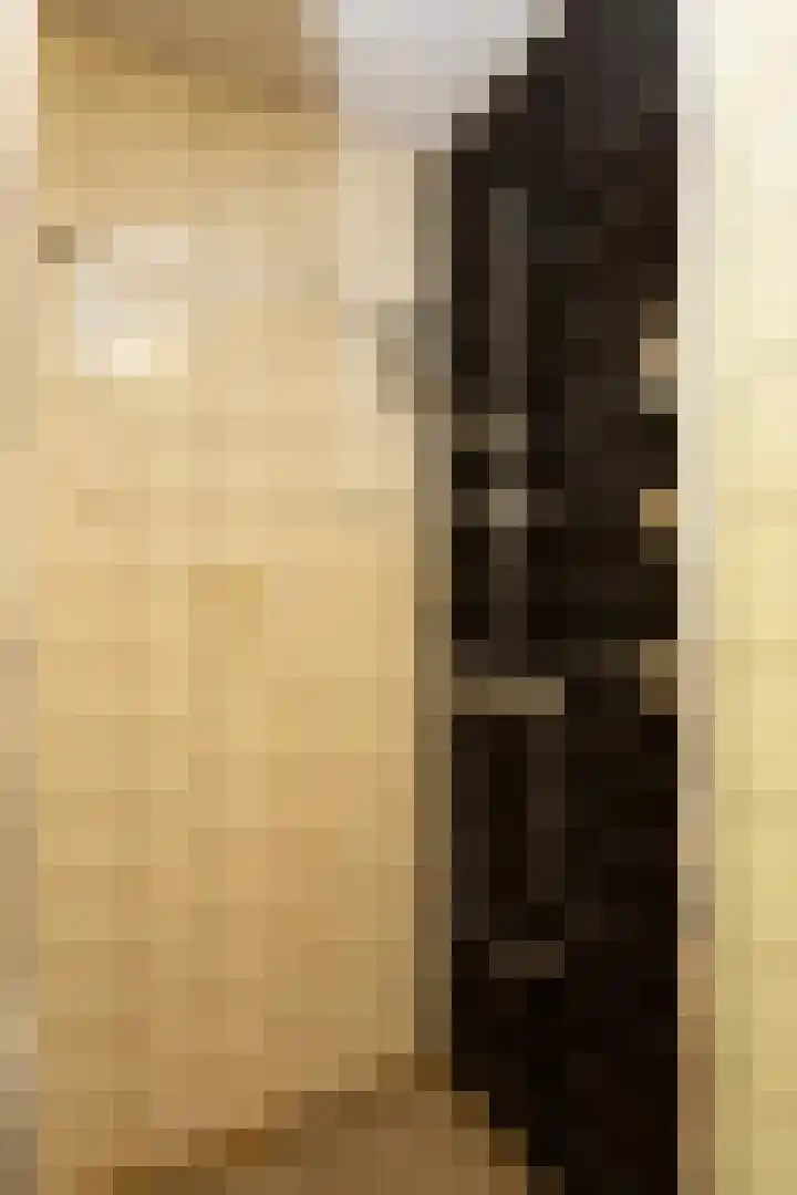 Laan van Eik en Duinen 191 Den Haag thumbnail 36