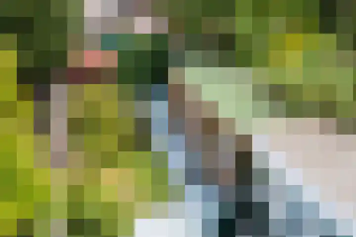Laan van Eik en Duinen 191 Den Haag thumbnail 37