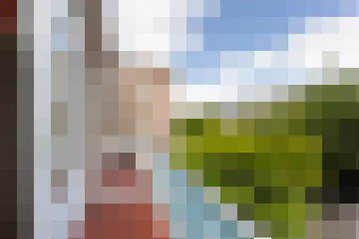 Laan van Eik en Duinen 191 Den Haag thumbnail 38