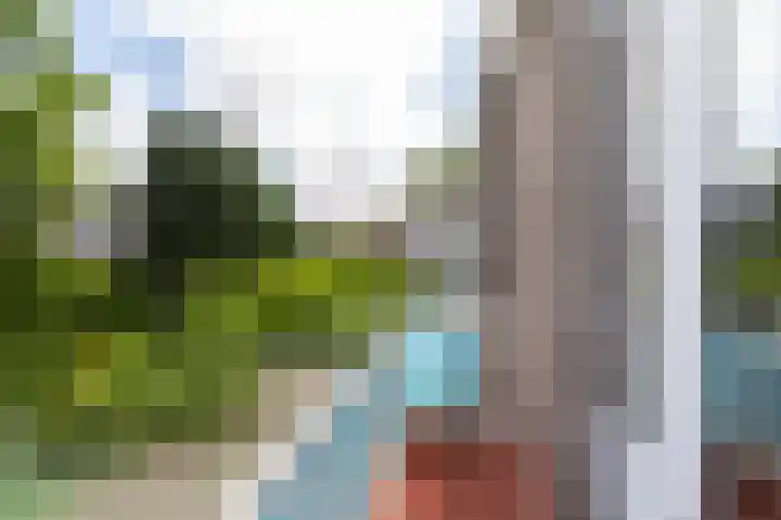 Laan van Eik en Duinen 191 Den Haag thumbnail 39
