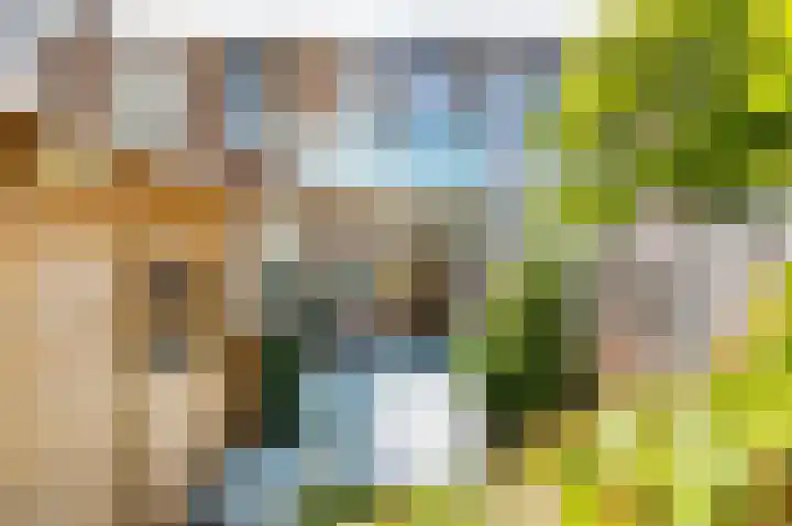 Laan van Eik en Duinen 191 Den Haag thumbnail 4