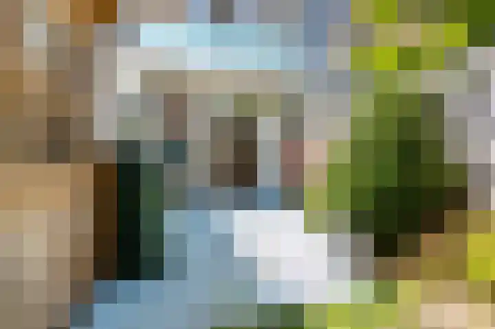 Laan van Eik en Duinen 191 Den Haag thumbnail 5