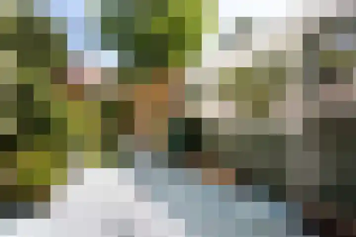Laan van Eik en Duinen 191 Den Haag thumbnail 6