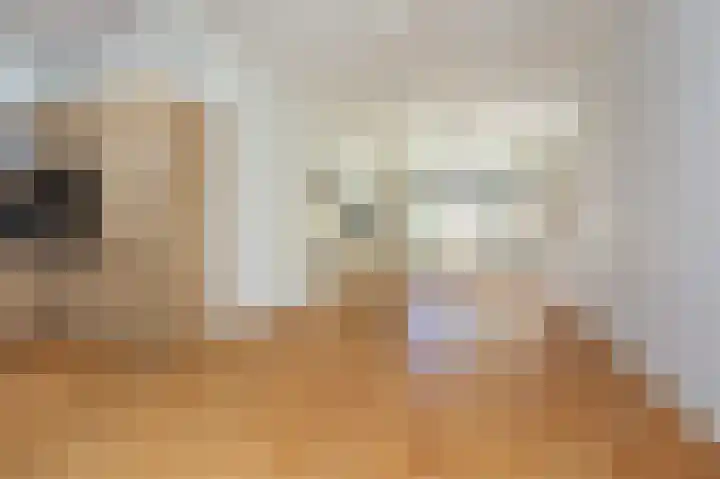 Laan van Eik en Duinen 191 Den Haag thumbnail 7