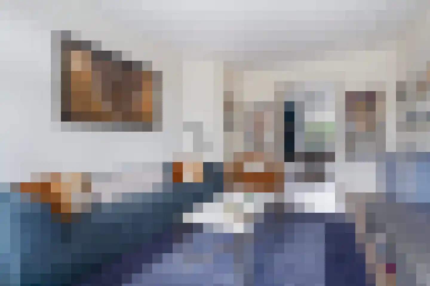 Laan van Eik en Duinen 198 Den Haag thumbnail 11