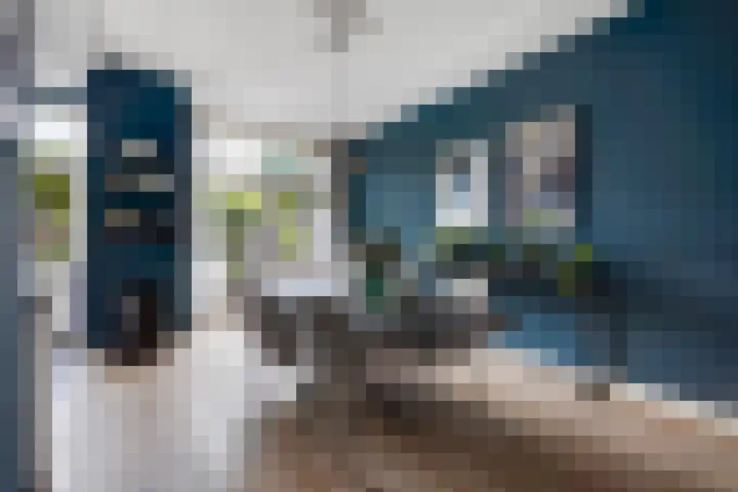 Laan van Eik en Duinen 198 Den Haag thumbnail 13