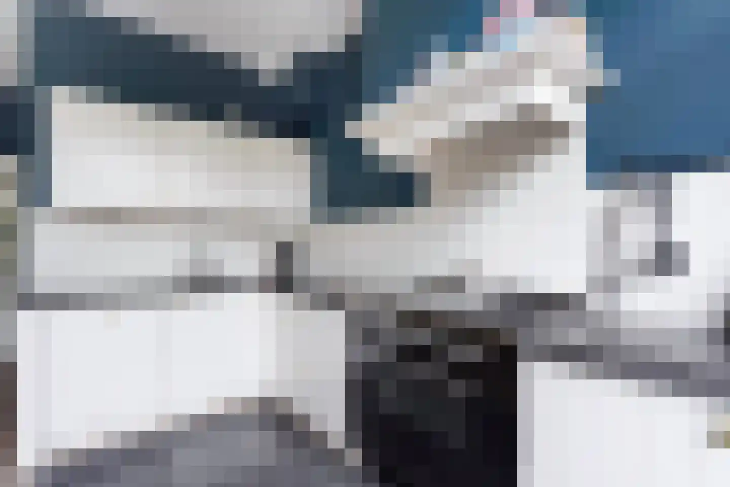 Laan van Eik en Duinen 198 Den Haag thumbnail 17