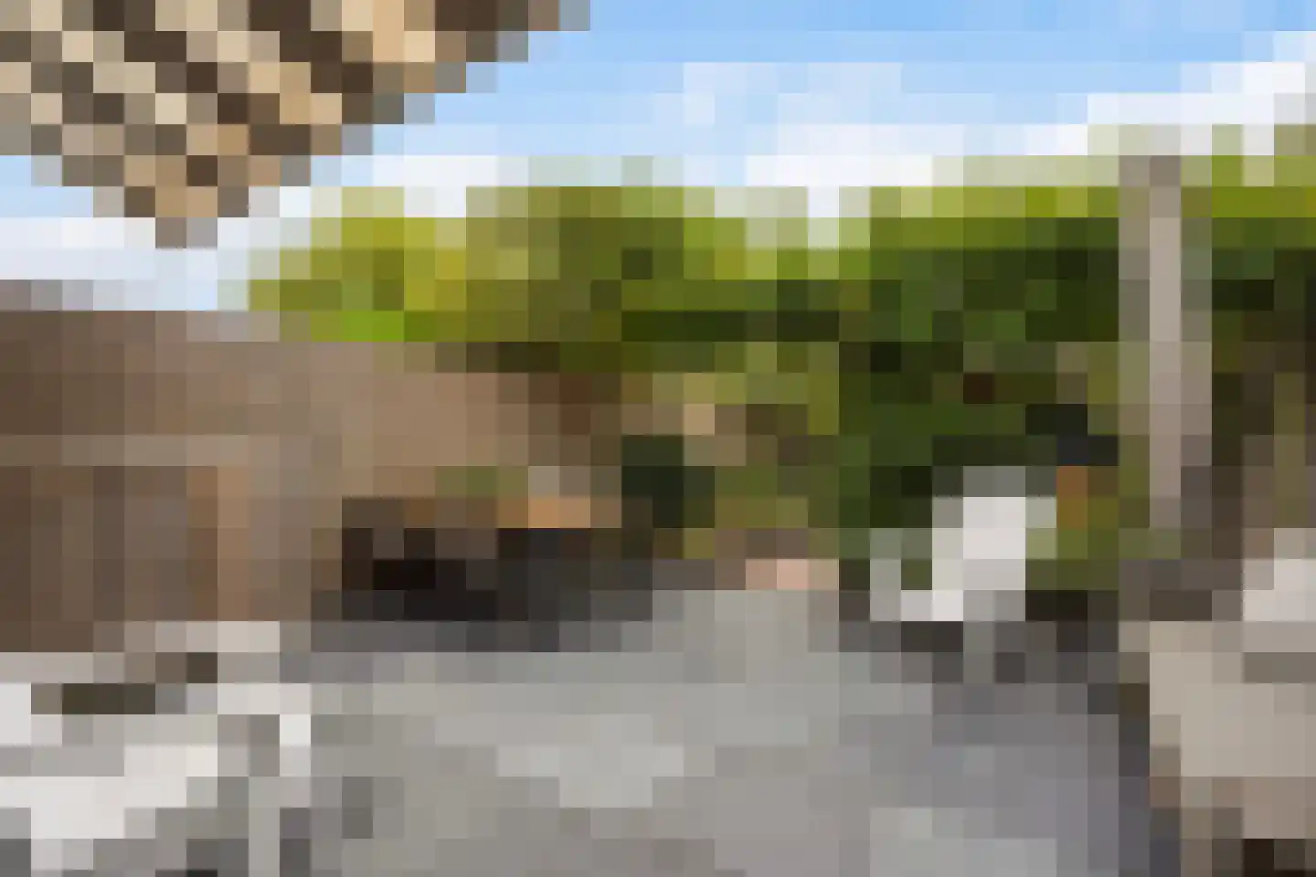 Laan van Eik en Duinen 198 Den Haag thumbnail 20