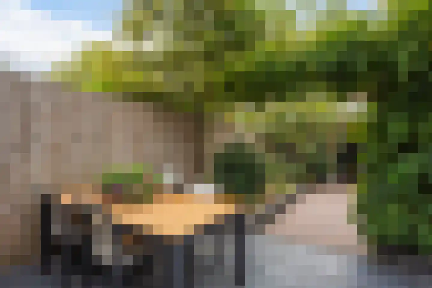 Laan van Eik en Duinen 198 Den Haag thumbnail 21