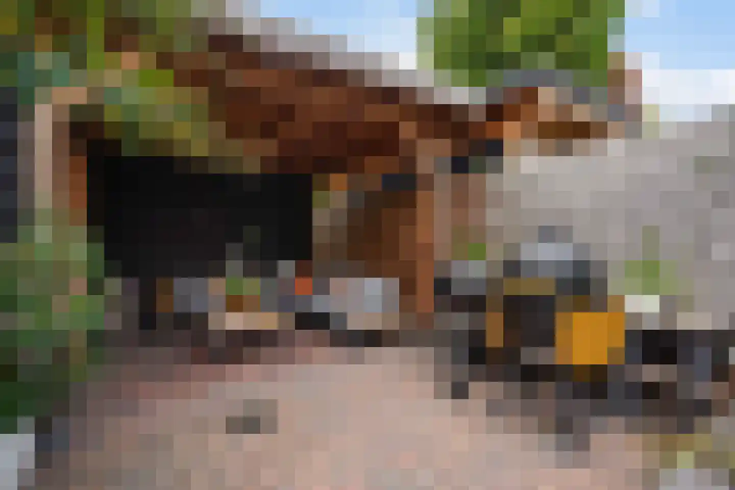 Laan van Eik en Duinen 198 Den Haag thumbnail 23