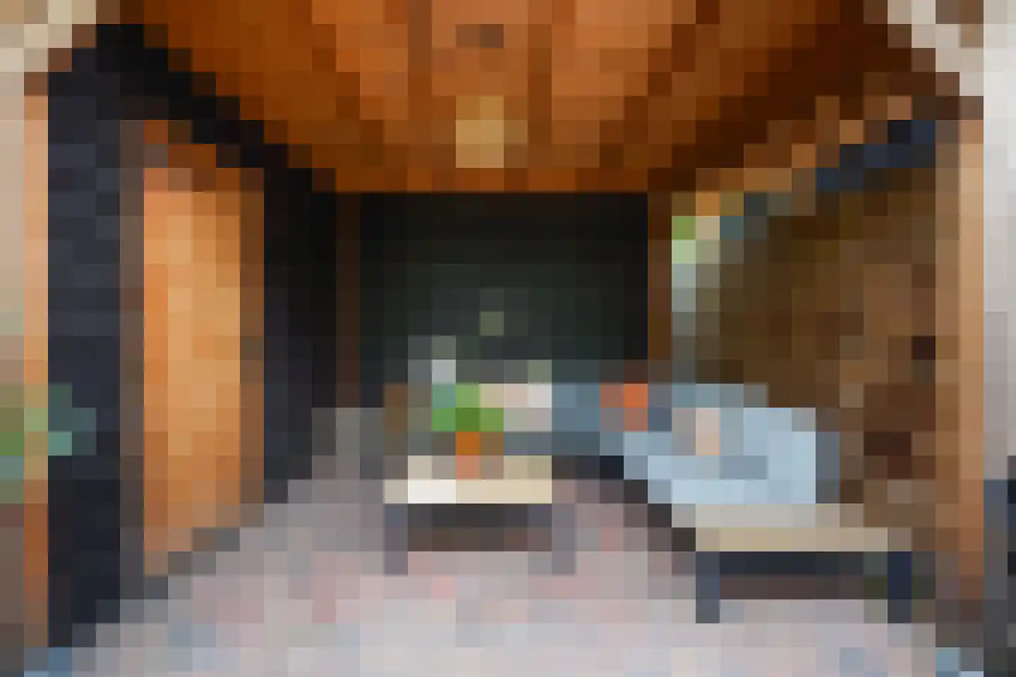 Laan van Eik en Duinen 198 Den Haag thumbnail 24
