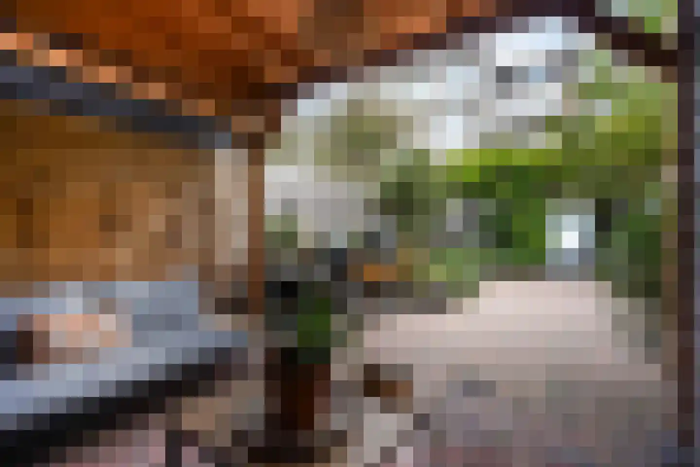 Laan van Eik en Duinen 198 Den Haag thumbnail 25