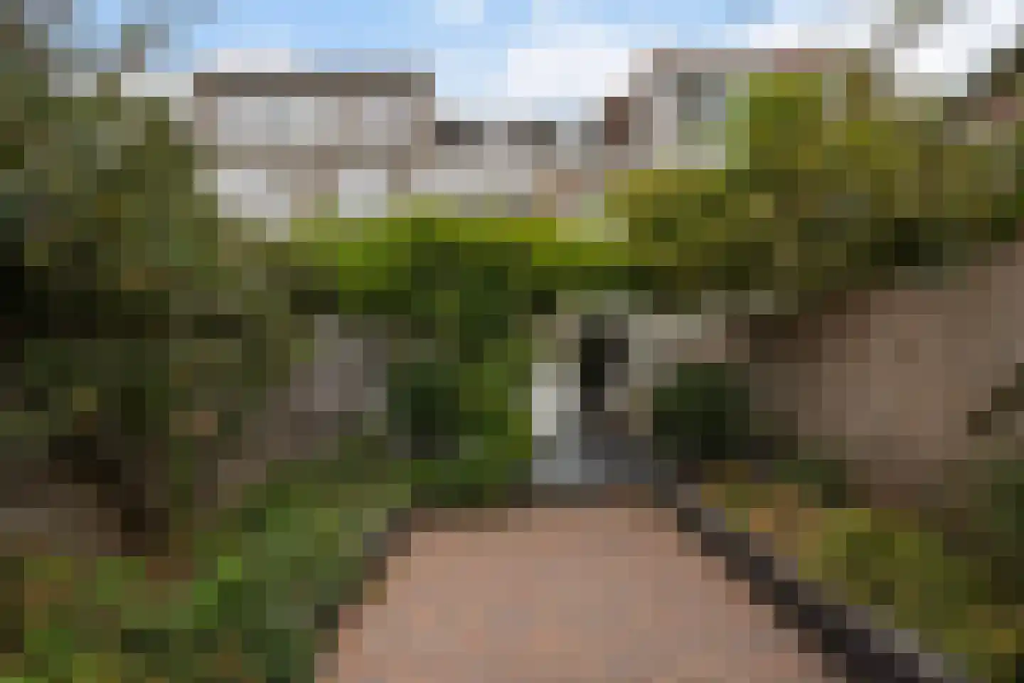 Laan van Eik en Duinen 198 Den Haag thumbnail 27