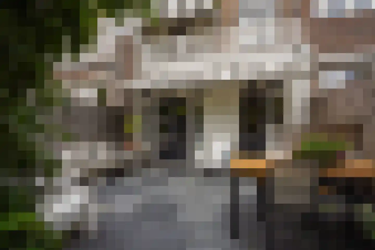 Laan van Eik en Duinen 198 Den Haag thumbnail 28