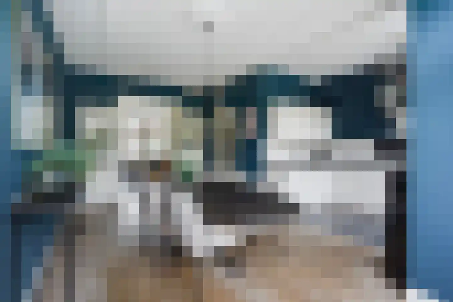 Laan van Eik en Duinen 198 Den Haag thumbnail 30