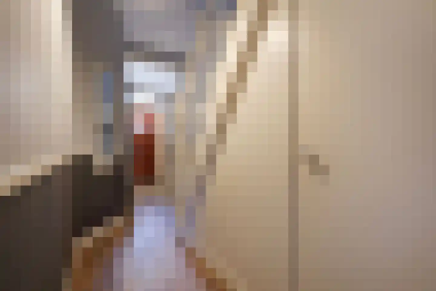 Laan van Eik en Duinen 198 Den Haag thumbnail 32
