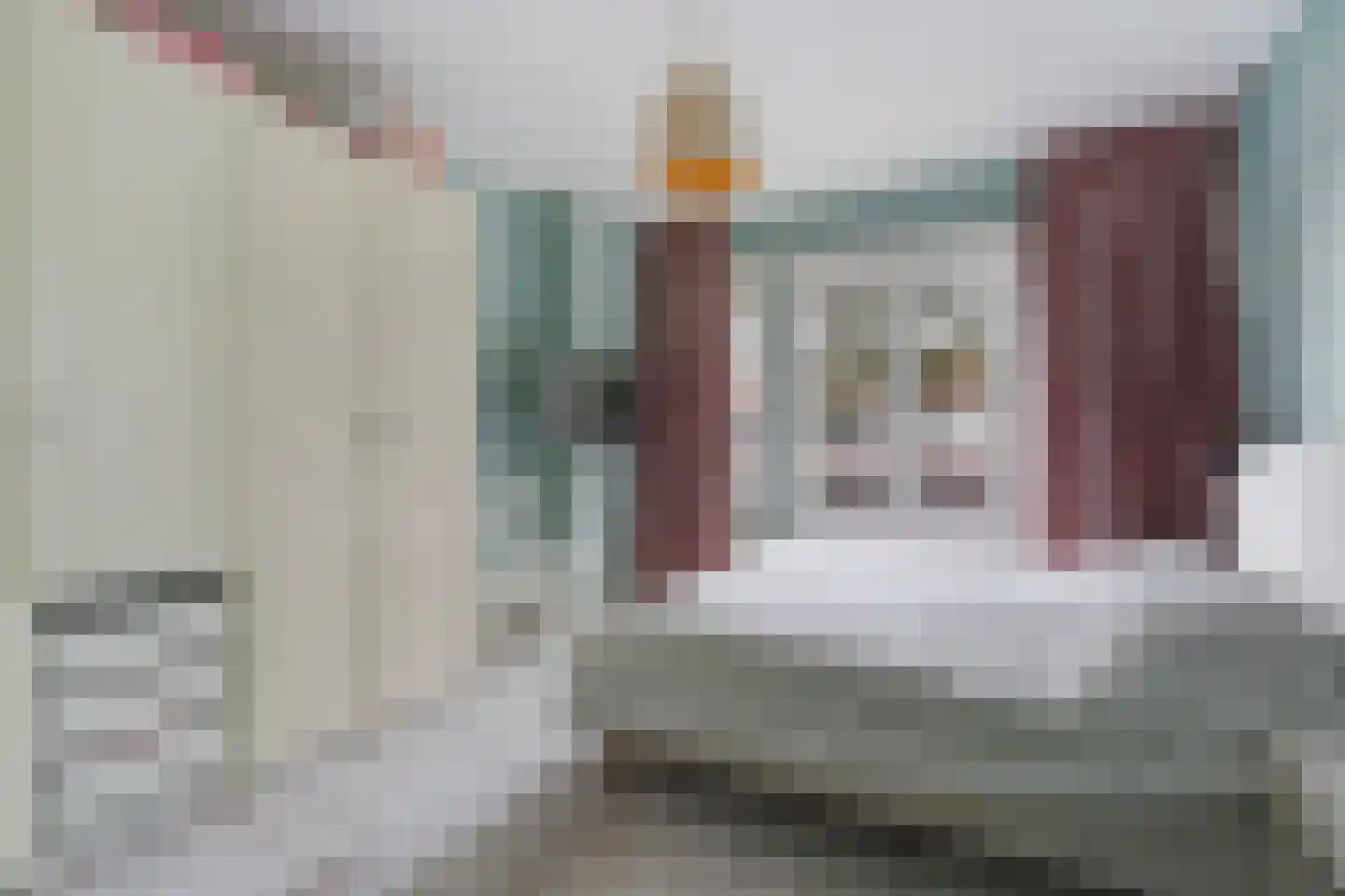 Laan van Eik en Duinen 198 Den Haag thumbnail 34