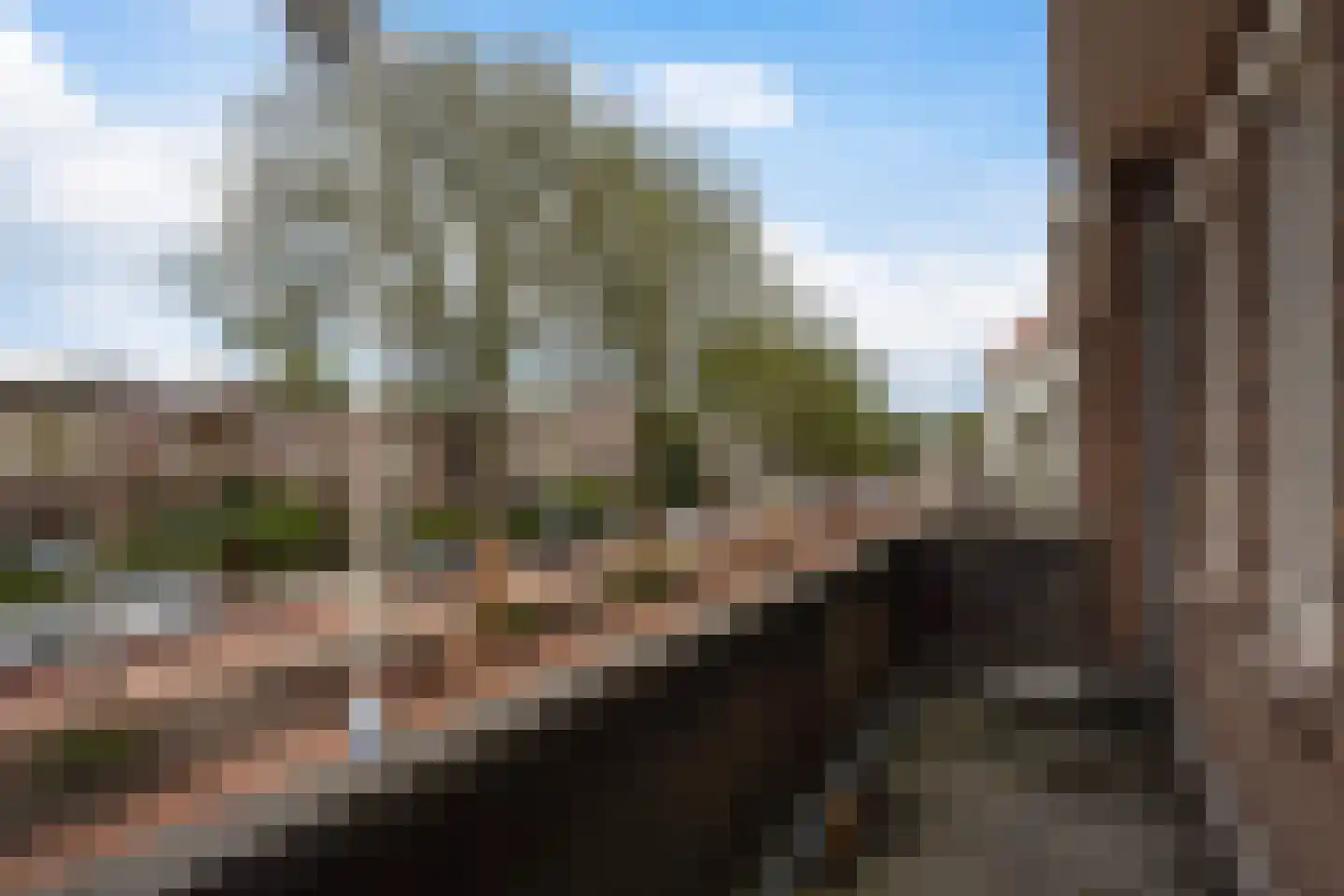 Laan van Eik en Duinen 198 Den Haag thumbnail 38