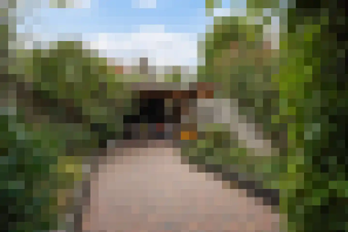 Laan van Eik en Duinen 198 Den Haag thumbnail 4