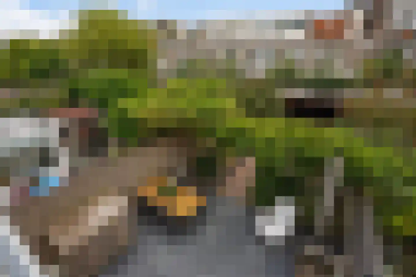 Laan van Eik en Duinen 198 Den Haag thumbnail 47