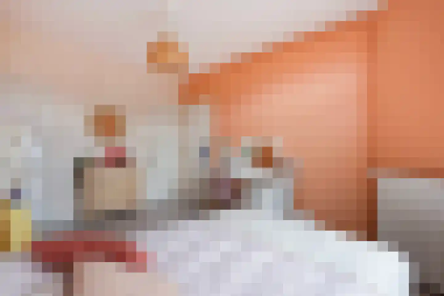 Laan van Eik en Duinen 198 Den Haag thumbnail 48