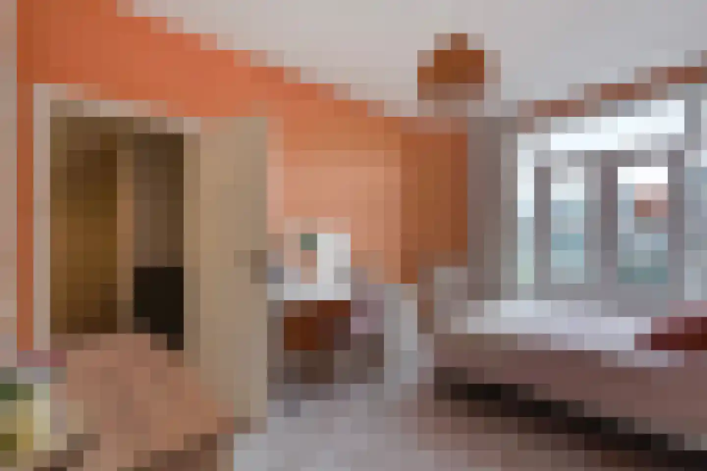 Laan van Eik en Duinen 198 Den Haag thumbnail 49