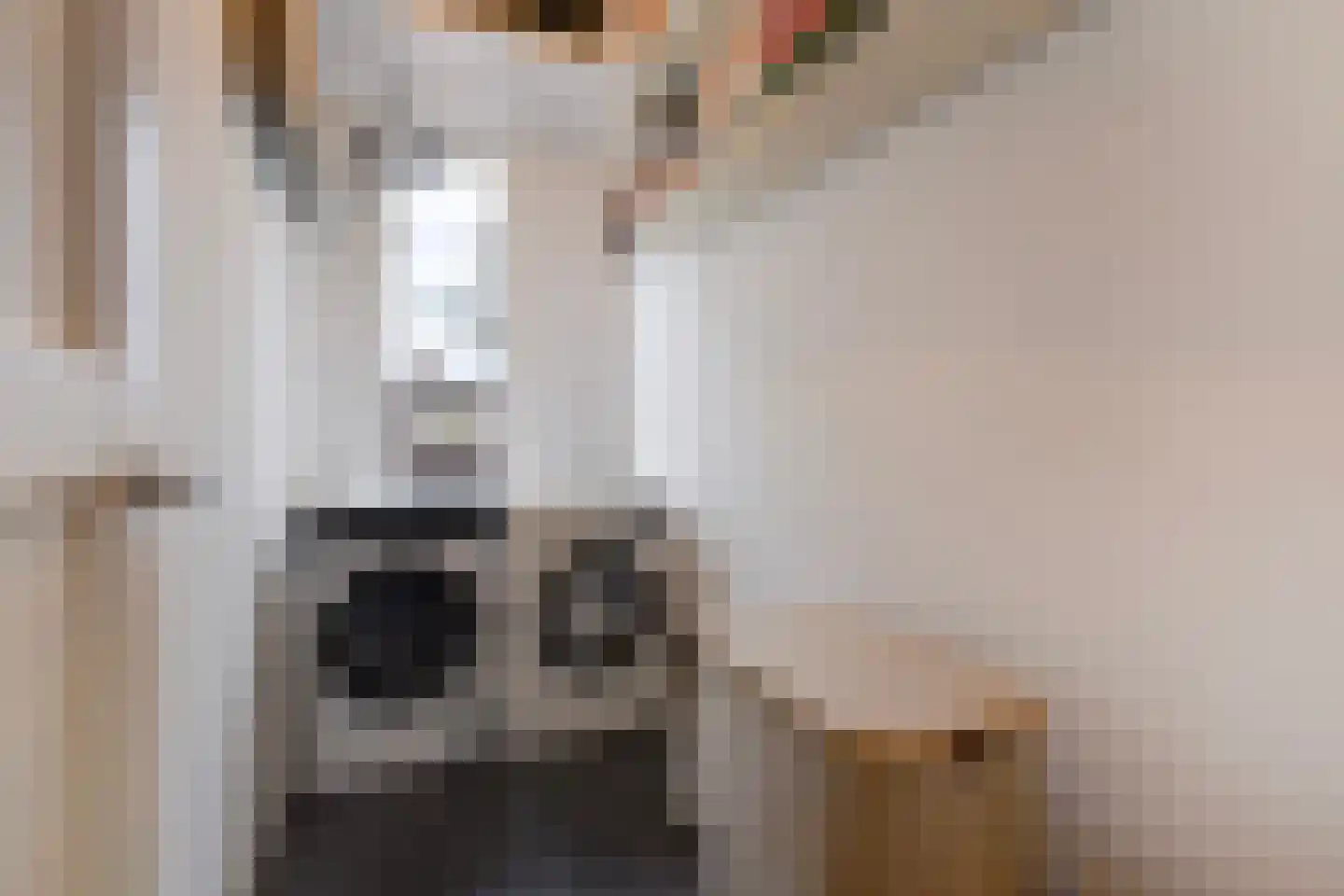 Laan van Eik en Duinen 198 Den Haag thumbnail 50
