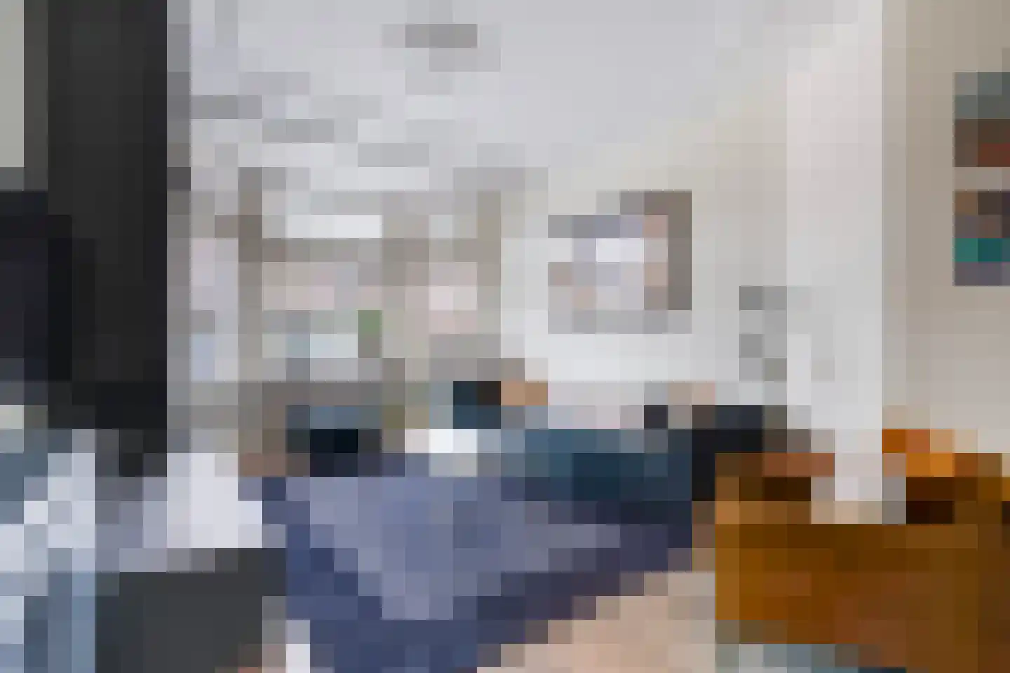 Laan van Eik en Duinen 198 Den Haag thumbnail 9